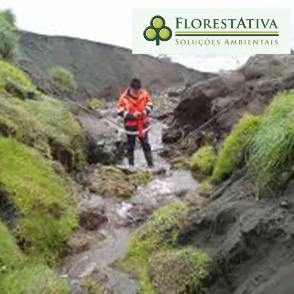 Consultoria Ambiental Orçamento