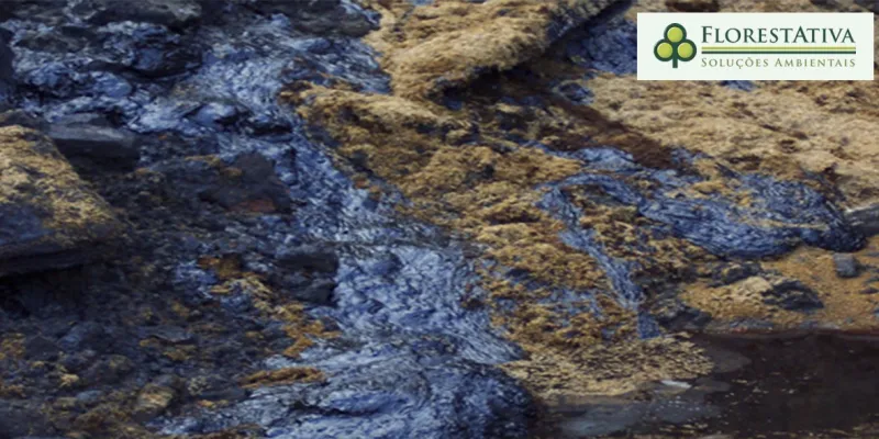 Empresa de Gestão de Resíduos Sólidos