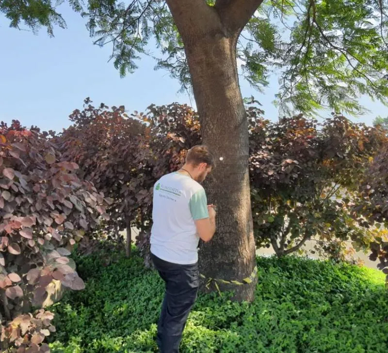 Inventario Florestal Ambiental