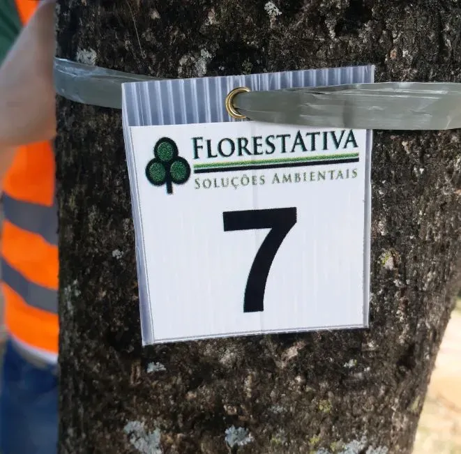 Atividades Florestais