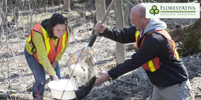 Empresa de Regularização Ambiental