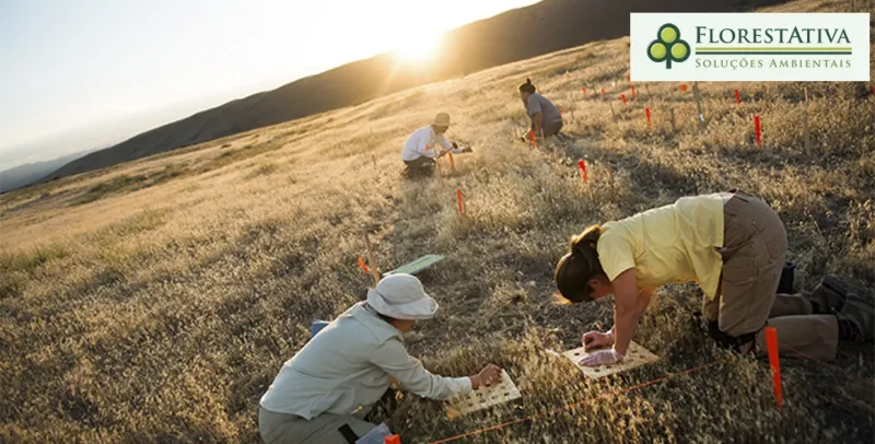 Empresas de Investigação Ambiental