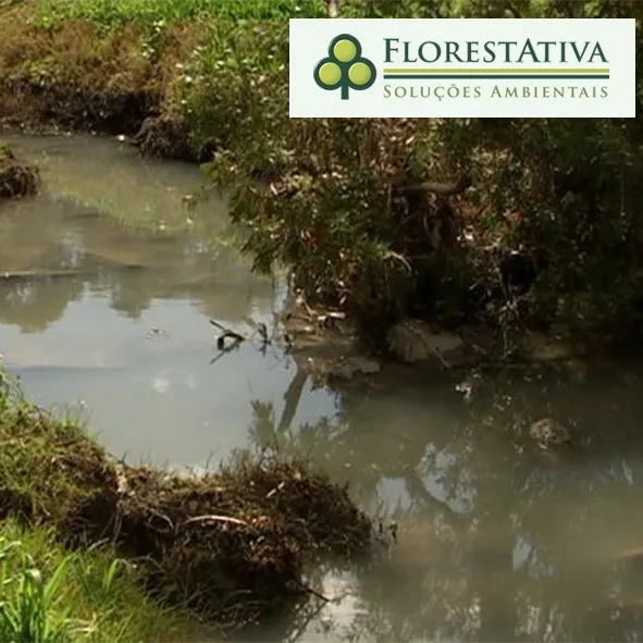 Licenciamento de Atividades Poluidoras